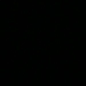 Meet your Posher, Larry